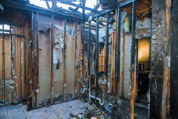 Professional Fire Damage Cleanup technician working in Federal Way, WA