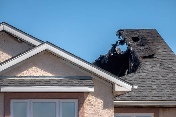 Top rated local Fire Damage Cleanup specialists in Federal Way, WA